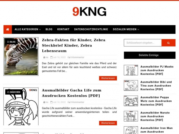 9kng.com