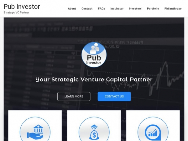 pubinvestor.com