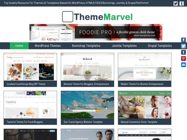 thememarvel.com